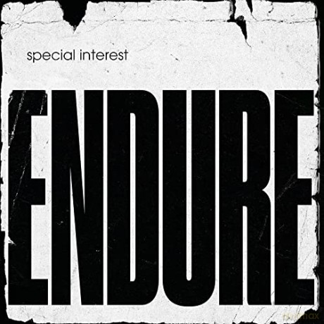 Special Interest: Endure [Winyl]