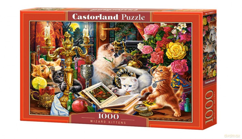 CASTORLAND 1000 el. Czarodziejskie kocięta C-104857-2 [PUZZLE]