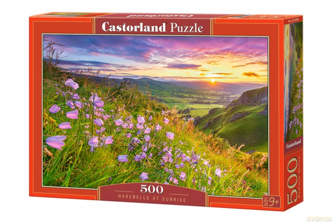 CASTORLAND 500 el. Dzwoneczki o wschodzie słońca B-53681 [PUZZLE]