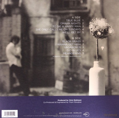 Gary Louris: Vagabonds [WINYL]