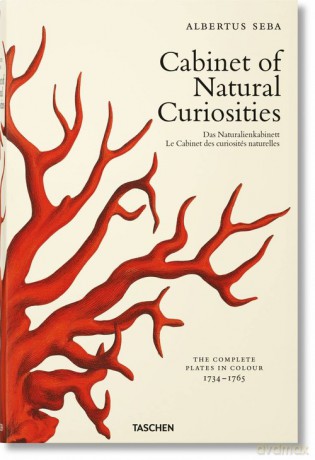 Cabinet of Natural Curiosities - Albertus Seba [KSIĄŻKA]