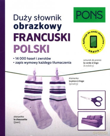 Duży słownik obrazkowy Francuski [KSIĄŻKA]