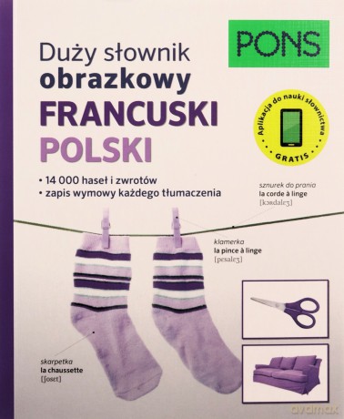 Duży słownik obrazkowy Francuski [KSIĄŻKA]