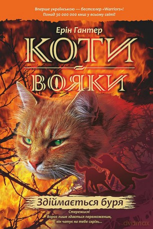 Koty-Voyaky Tsykl 1 Knyha 4 Zdiymayetsya Burya - Erin Hunter [KSIĄŻKA]