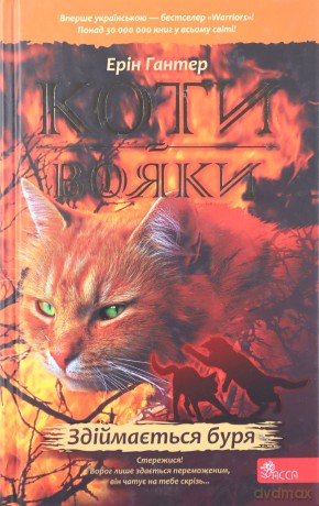 Koty-Voyaky Tsykl 1 Knyha 4 Zdiymayetsya Burya - Erin Hunter [KSIĄŻKA]