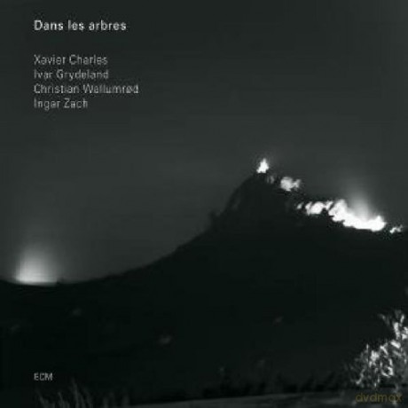 Charles /Grydeland /Wallumrod /Zach: Dans Les Arbres [CD]