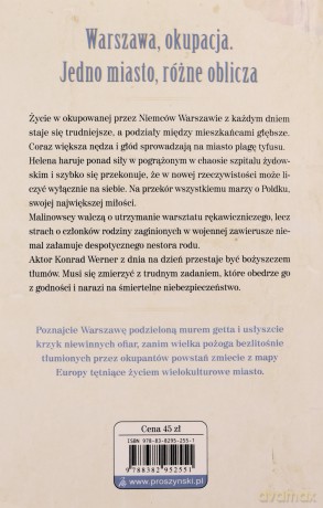 Synowie wojny Czas niepokoju - Jagna Rolska [KSIĄŻKA]