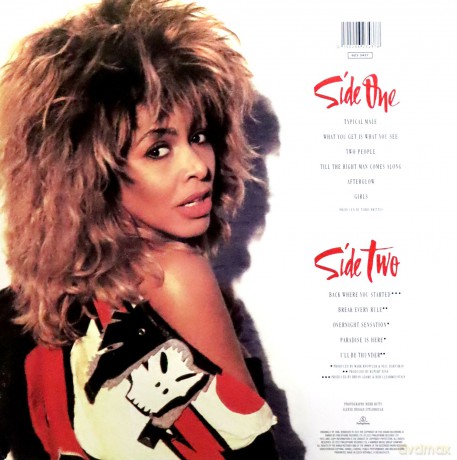 Tina Turner: Break Every Rule [Winyl]