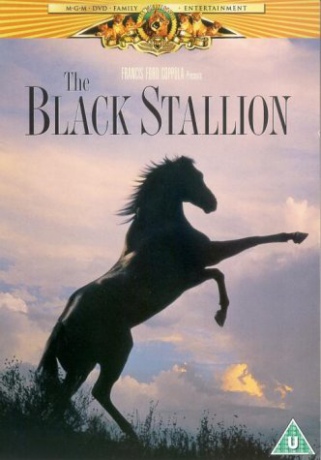 The Black Stallion (Czarny rumak) [DVD]