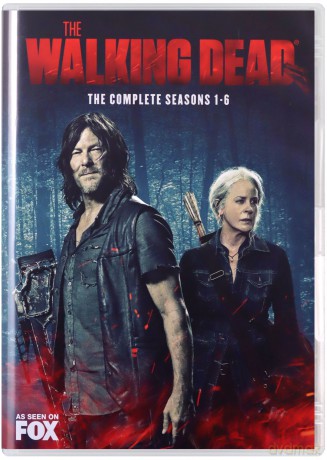 The Walking Dead Season 1-10 (The Walking Dead) [DVD]