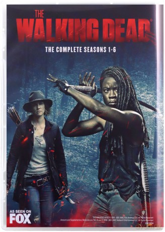 The Walking Dead Season 1-10 (The Walking Dead) [DVD]
