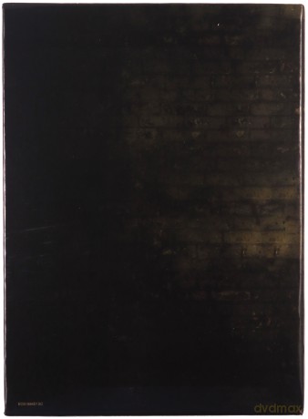 The Walking Dead Season 1-5 (The Walking Dead) [21DVD]