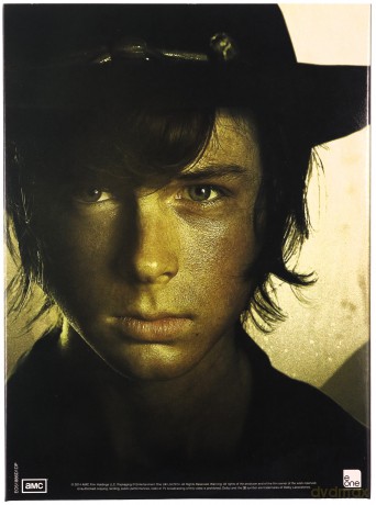 The Walking Dead Season 1-5 (The Walking Dead) [21DVD]