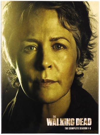 The Walking Dead Season 1-5 (The Walking Dead) [21DVD]