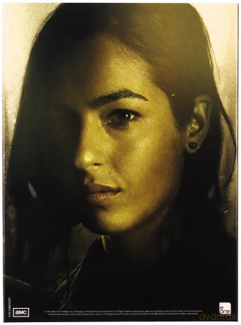 The Walking Dead Season 1-5 (The Walking Dead) [21DVD]