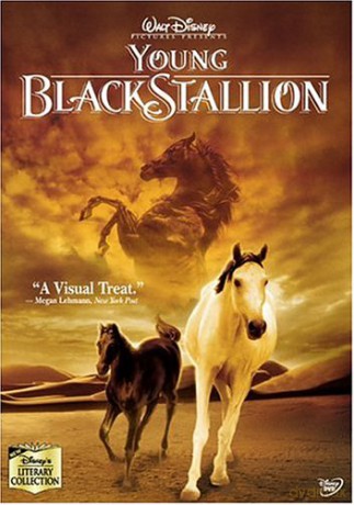 Young Black Stallion [DVD]