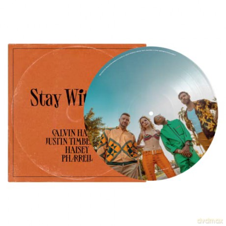 Calvin Harris: Stay With Me (Picture) [Winyl]