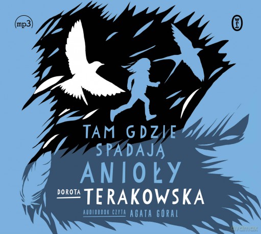 Tam, gdzie spadają Anioły - Dorota Terakowska [AUDIOBOOK]