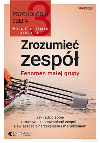 Zrozumieć zespół. Fenomen małej grupy - Wojciech Haman, Jerzy Gut [KSIĄŻKA]