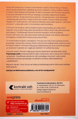 Zrozumieć zespół. Fenomen małej grupy - Wojciech Haman, Jerzy Gut [KSIĄŻKA]