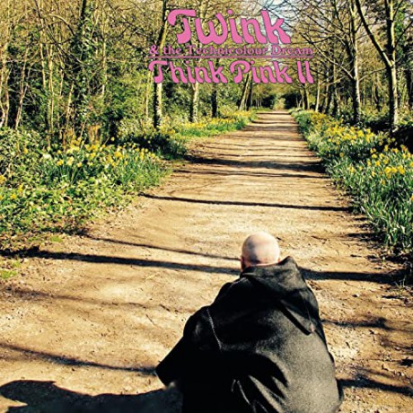 Twink: Think Pink 2 [CD]