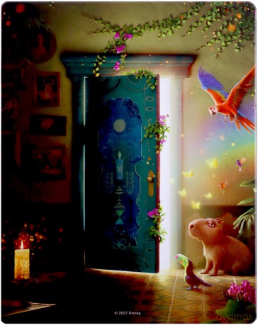 Encanto (Nasze magiczne Encanto) (steelbook) [Blu-Ray]+[DVD]