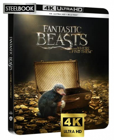 Fantastic Beasts and Where to Find Them (Fantastyczne zwierzęta i jak je znaleźć) (steelbook) [Blu-Ray 4K]+[Blu-Ray]