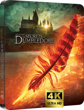 Fantastic Beasts: The Secrets of Dumbledore (Fantastyczne zwierzęta: Tajemnice Dumbledore'a) (steelbook) [Blu-Ray 4K]+[Blu-Ray]