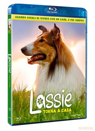 Lassie Come Home (Lassie, wróć!) [Blu-Ray]