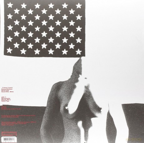 The Jesus Lizard: Pure (Remaster) [Winyl]