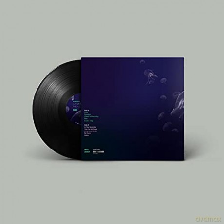 Elena Setien: Unfamiliar Minds [Winyl]