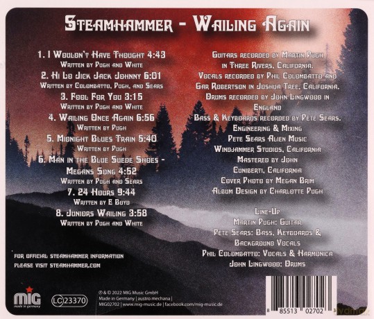 Steamhammer: Wailing Again [CD]
