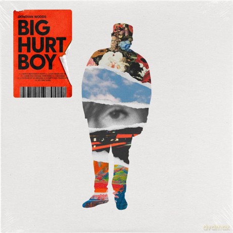 Donovan Woods: Big Hurt Boy [CD]