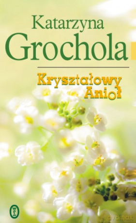 Kryształowy Anioł - Katarzyna Grochola [KSIĄŻKA]