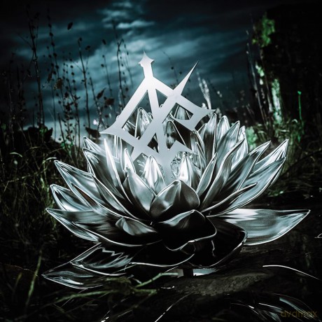 We Came As Romans: Darkbloom (Curacao) [Winyl]
