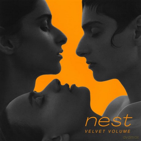 Velvet Volume: Nest Vinyl [Winyl]