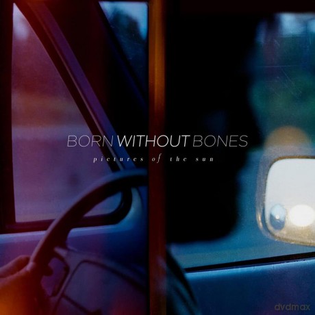 Born Without Bones: Pictures of the Sun [Winyl]