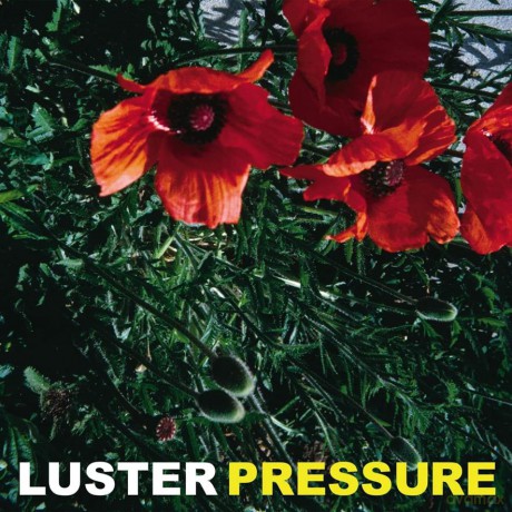 Luster: Pressure [Winyl]