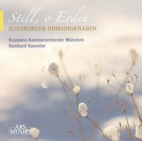 Augsburger Domsingknaben/Kammler: Still, o Erden [CD]