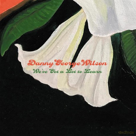 Danny George Wilson: We've Got A Lot To Learn [CD]