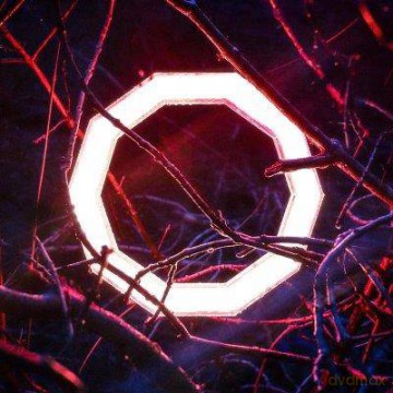 Hybrid Minds: Reflections [Winyl]