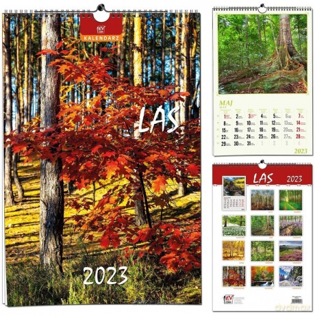 Kalendarz 2023 13 Plansz B3 - Las [KALENDARZ]
