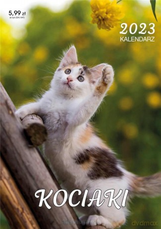Kalendarz 2023 ścienny Kociaki [KALENDARZ]