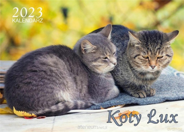 Kalendarz 2023 ścienny Lux Koty [KALENDARZ]