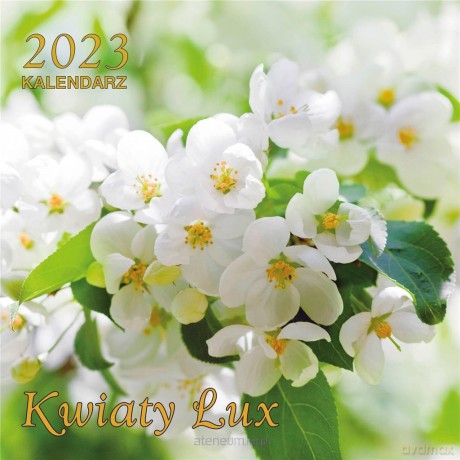 Kalendarz 2023 ścienny Lux kwadratowy Kwiaty [KALENDARZ]