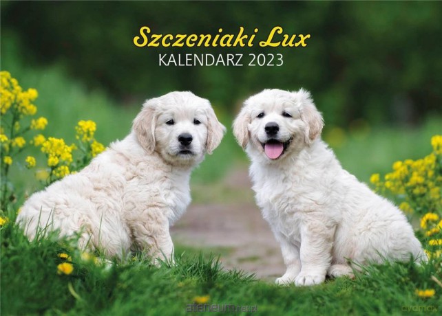 Kalendarz 2023 ścienny Lux Szczeniaki [KALENDARZ]