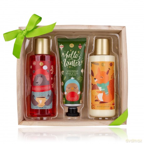 Accentra Hello Winter bath care set