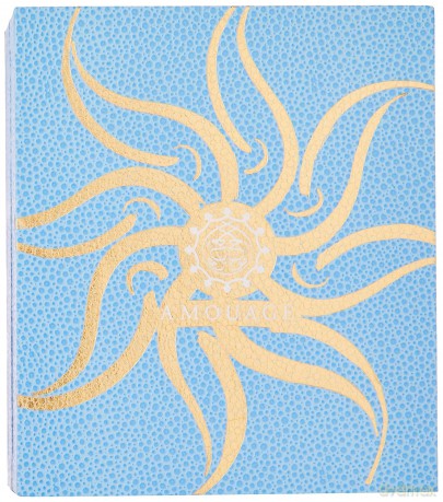 Amouage Sunshine - woda perfumowana - Volume: 100 ml