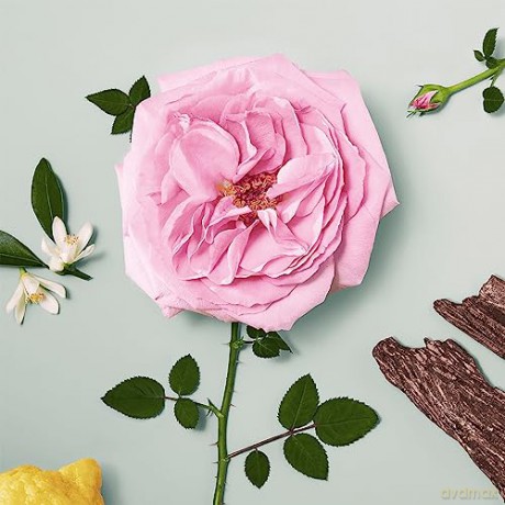 Chloé Naturelle - woda perfumowana - Volume: 30 ml