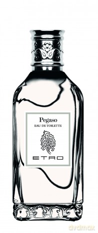 Etro Pegaso - woda toaletowa - Volume: 100 ml